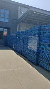 长期出售PP托盘毛料