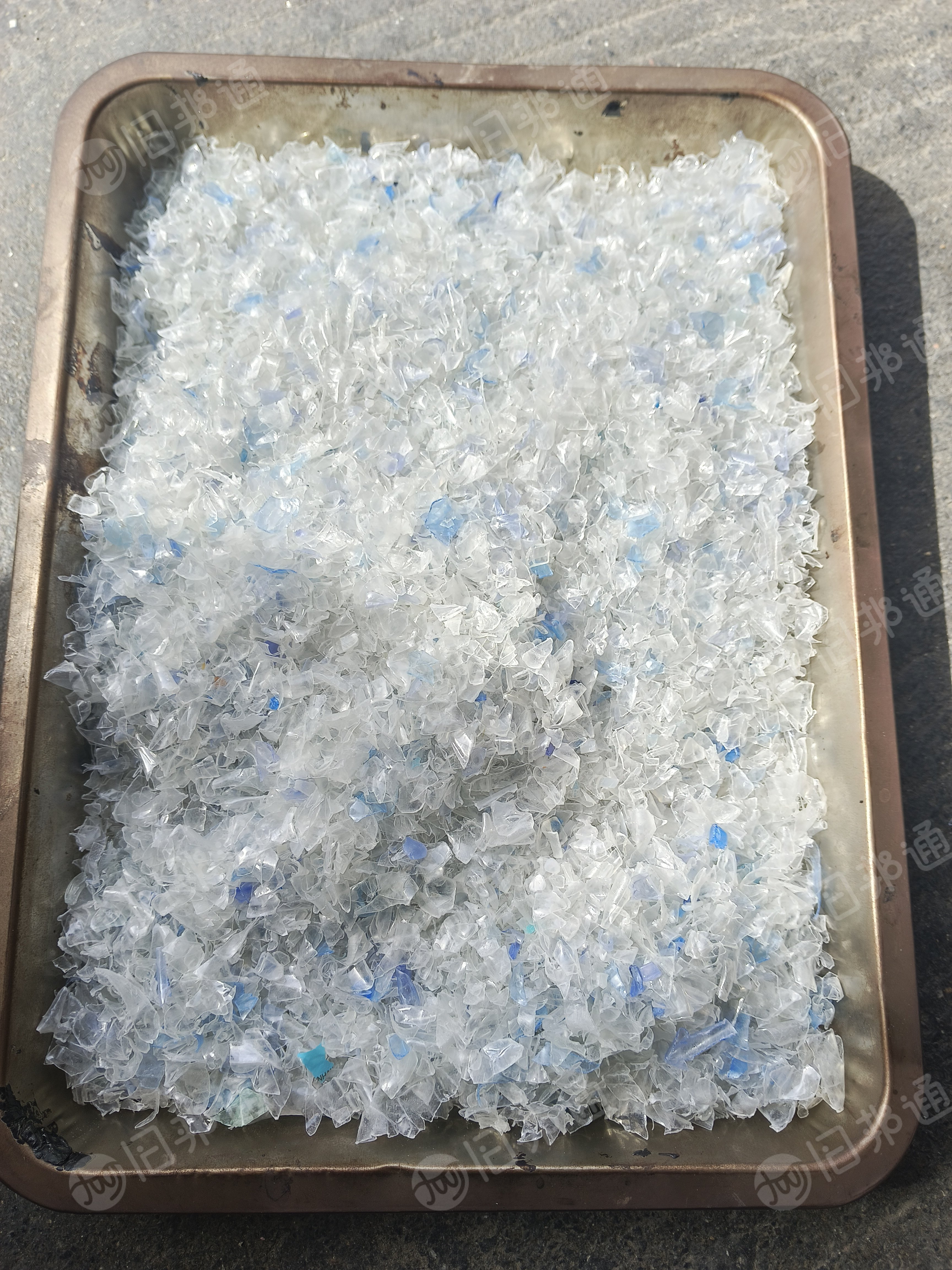出售热洗蓝白瓶片,月供300吨