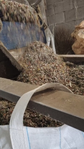 出售沉底PP打包带破碎料，现货九米六一车