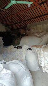 长期出售染厂下来的白色涤纶废布，涤纶布，现货三十多吨