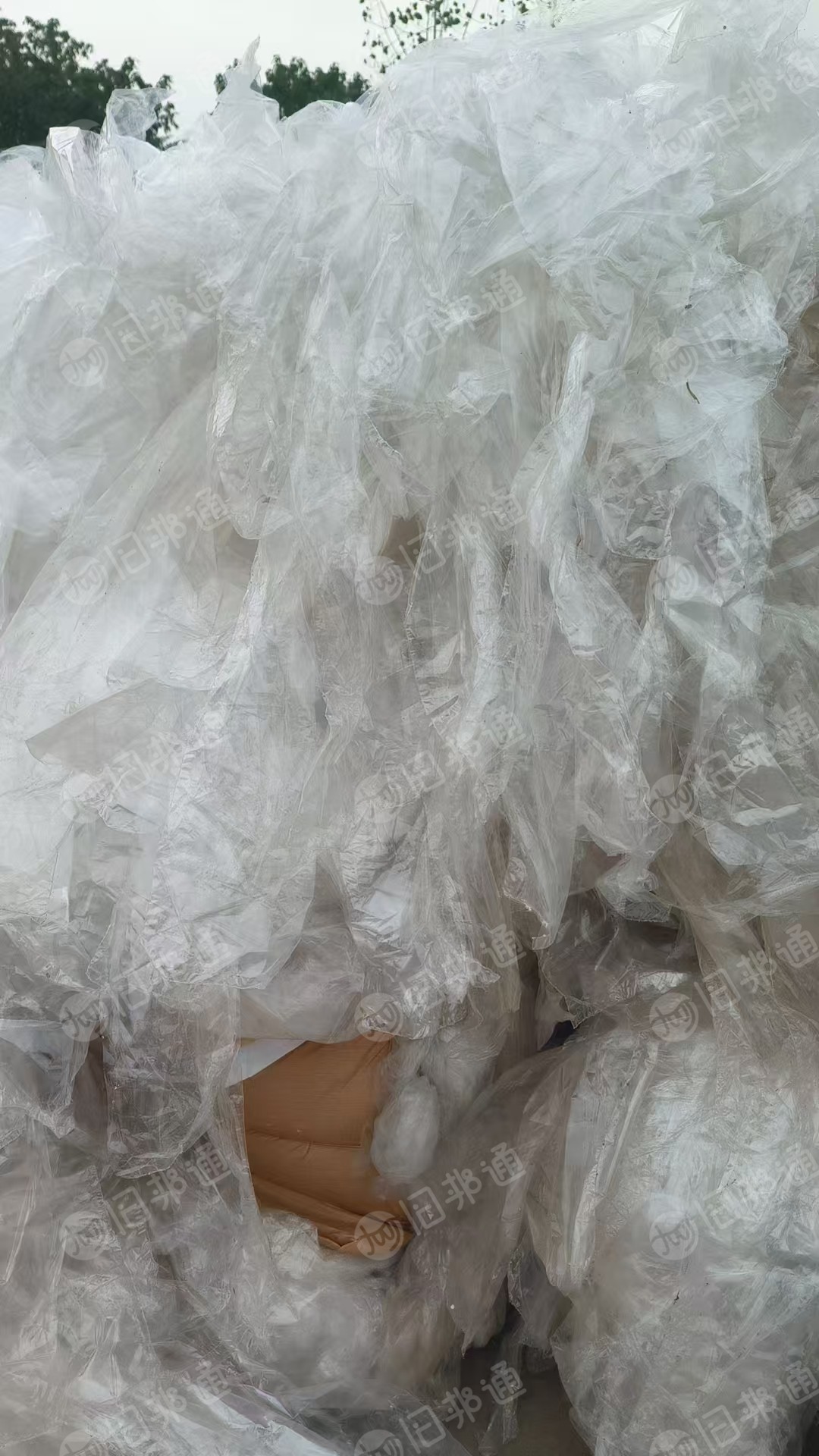 长期出售丙膜废料,PP膜废料,可干造