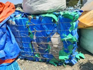 长期出售PP空心板废料