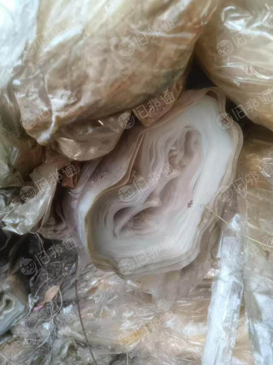 免费送PET油漆薄膜废料,现货80-100吨