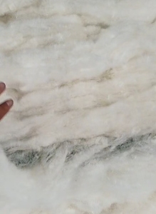 长期出售无纺布开的开松棉，开花棉，化纤棉，货在山东聊城