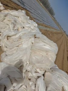 大量出售地里种蔬菜用的无纺布，PP材质，现货有2000吨左右，货在宁夏银川