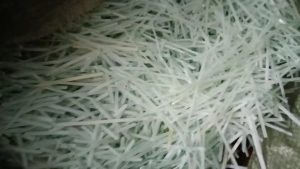 长期出售白色尼龙扎带废料