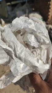 长期出售珠光膜,现货够6.8米车,货在山东德州