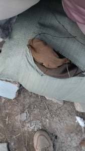 长期出售杂色的窗帘废布，涤纶废布，现货十三吨左右