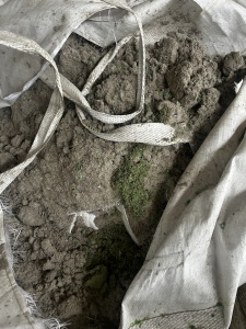 出售PET沫子，没有洗，现货量大