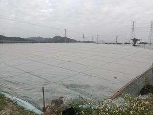 出售PE膜废料，大棚膜，虾塘膜，长期有货