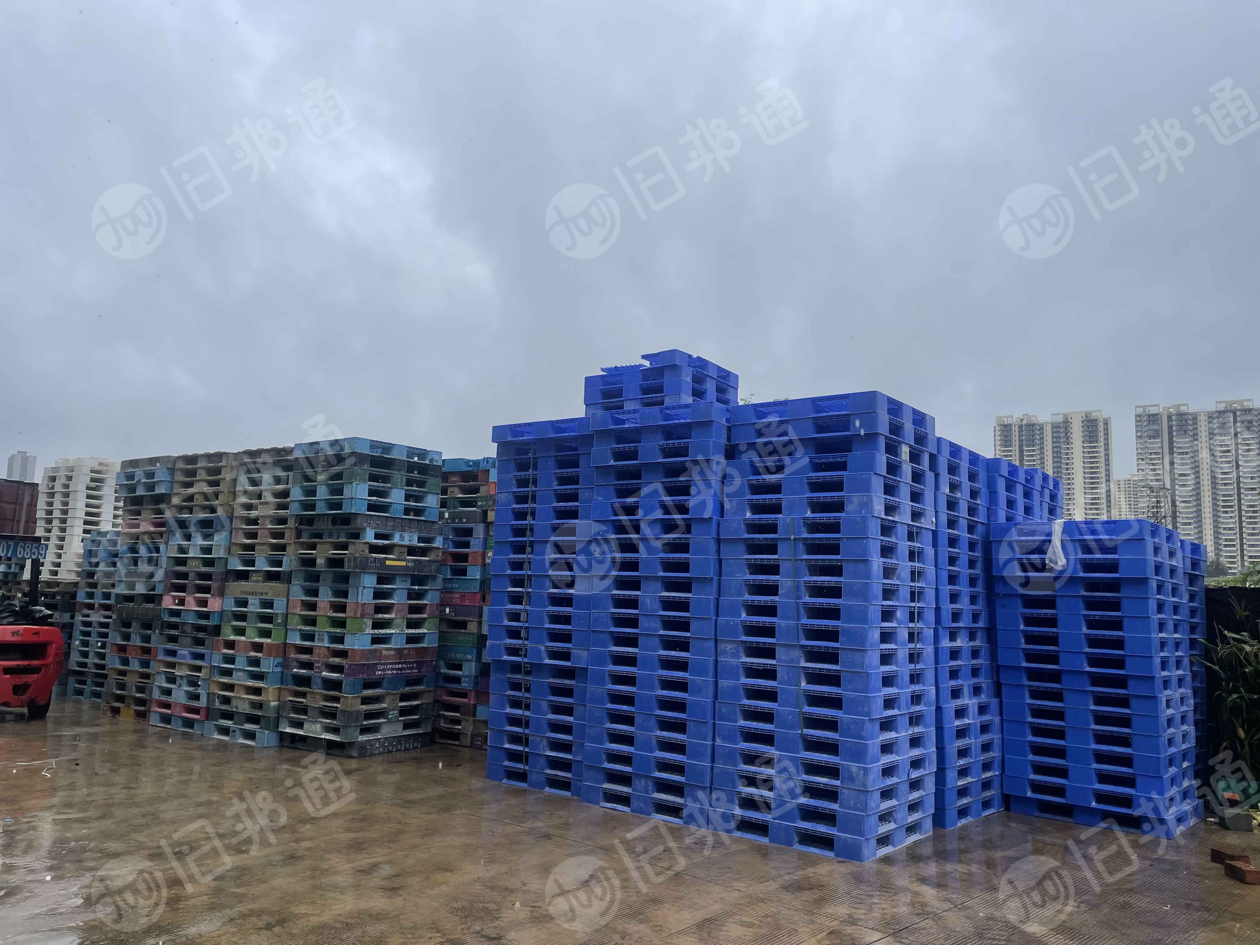 出售蓝色胶筐托盘pp,pe破碎料