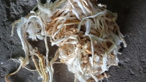 长期大量出售丙纶废丝，丙纶丝，现货50吨左右，月供150吨左右