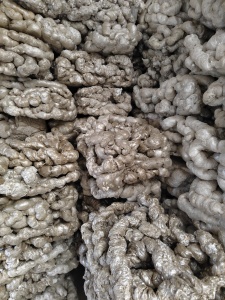 出售eps热熔块，月供20吨