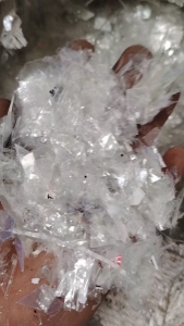 出售倒闭厂的下来的pet膜破碎料，现货10多吨