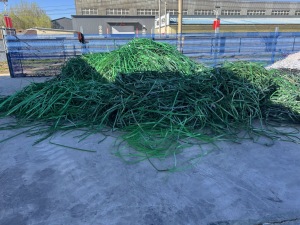 出售绿色打包条，白色打包条