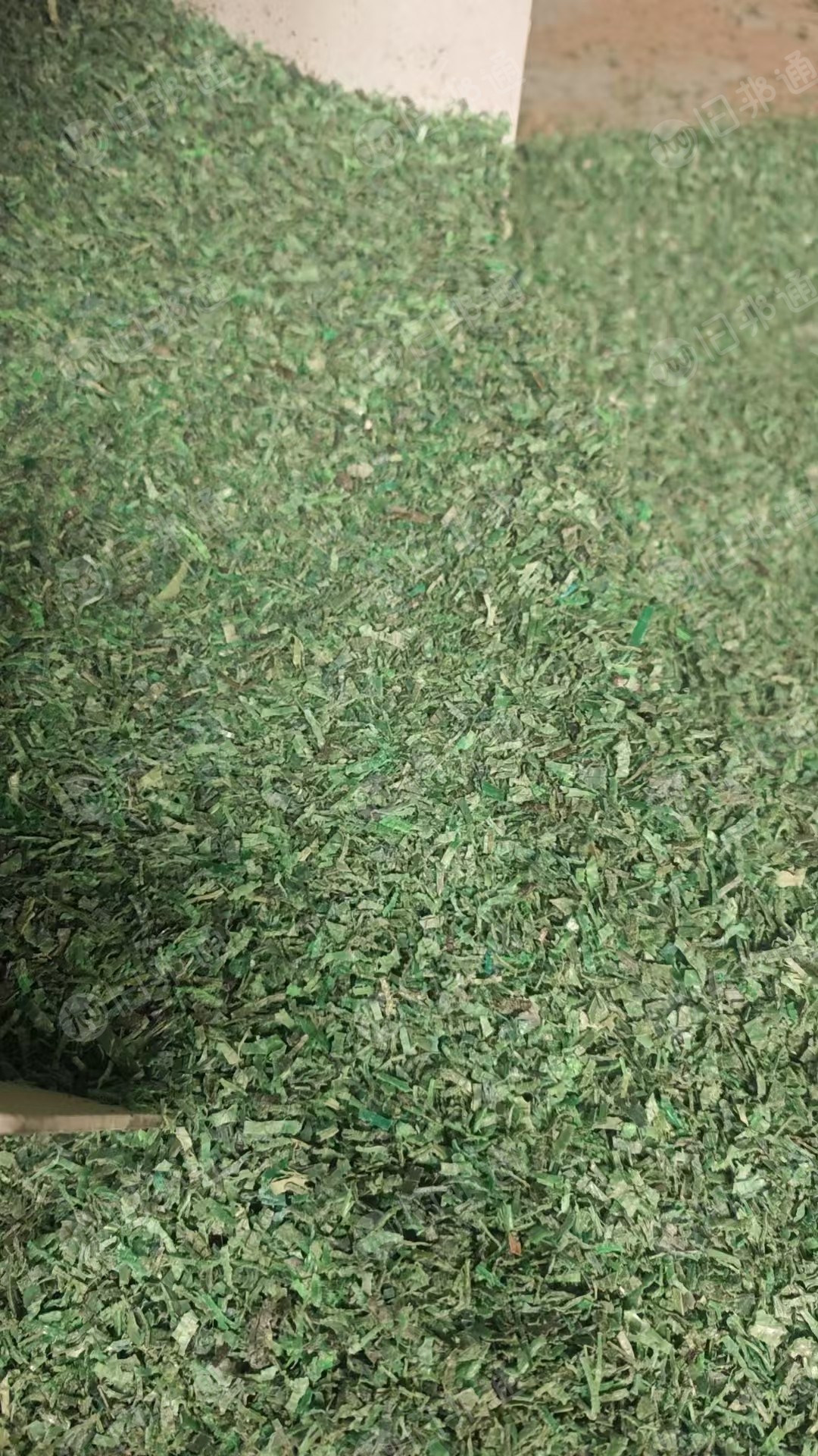 出售PET打包带破碎料，干粉的，现货40多吨