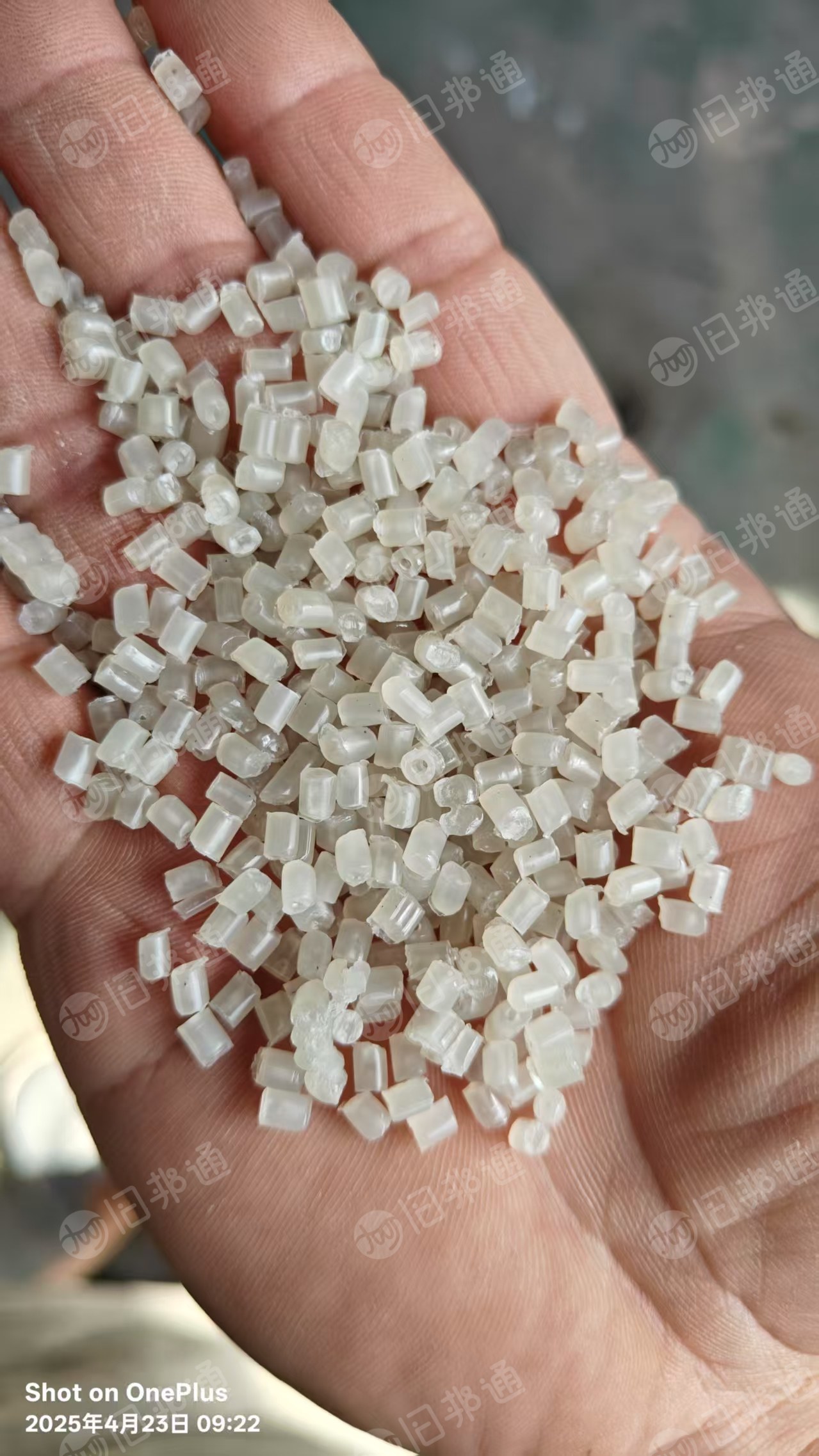 出售PP餐盒颗粒，过4张60目，长期有货