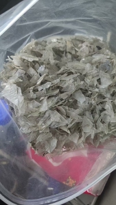 出售干破的pet吸塑片破碎料，没有过风选的，现货20吨