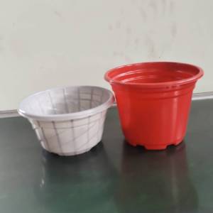 求购PP颗粒，做绿萝盆