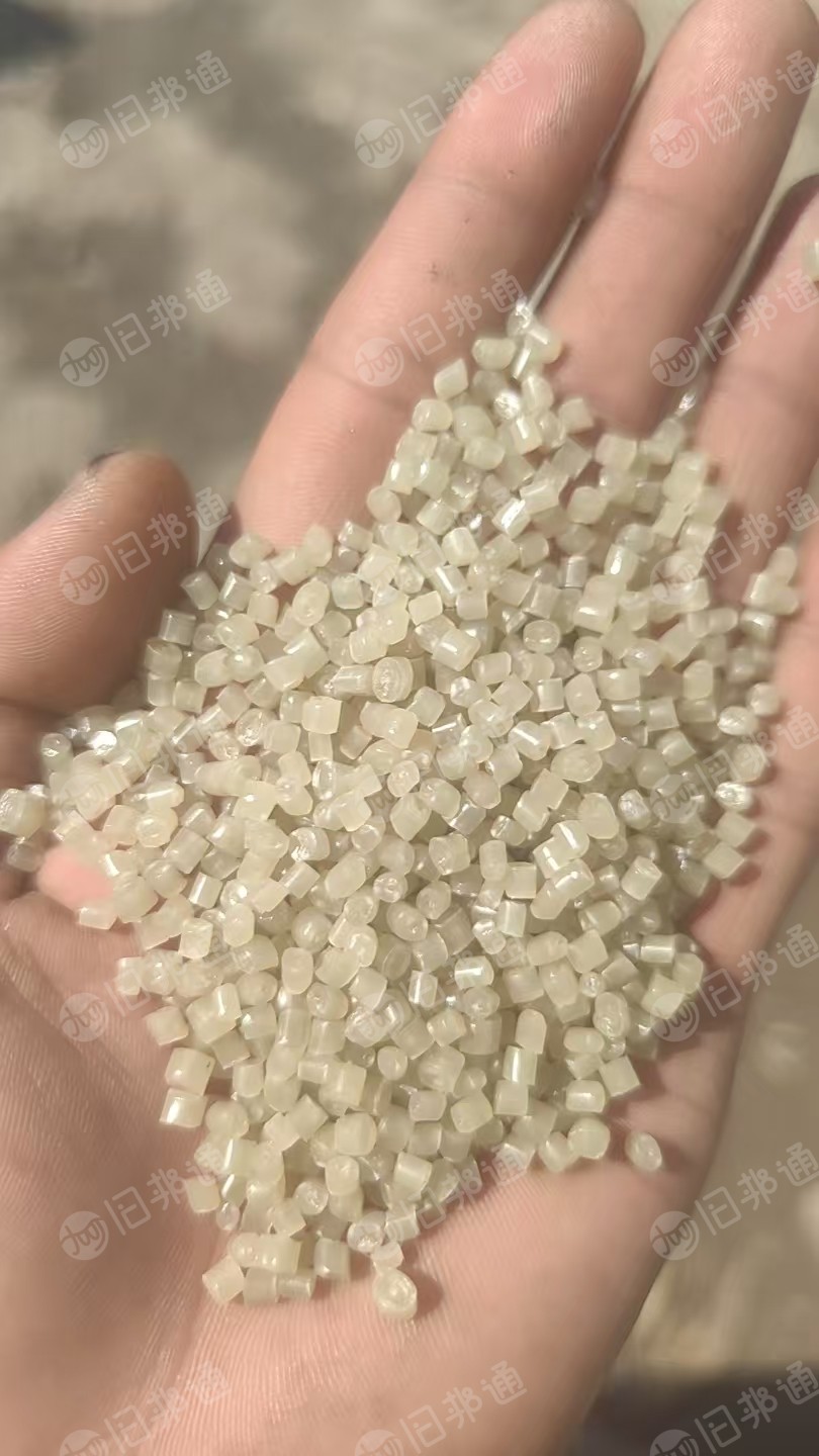 出售PP餐盒颗粒，过120目，白色现货20吨