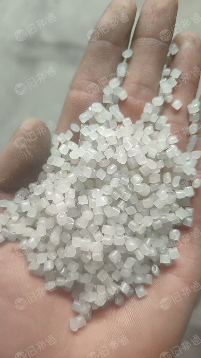 出售PP餐盒颗粒，过120目，白色现货20吨