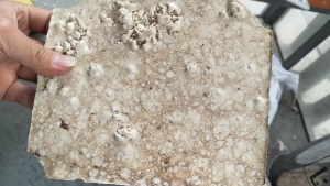 长期出售涤纶水丝泡，丝泡，日供8吨左右