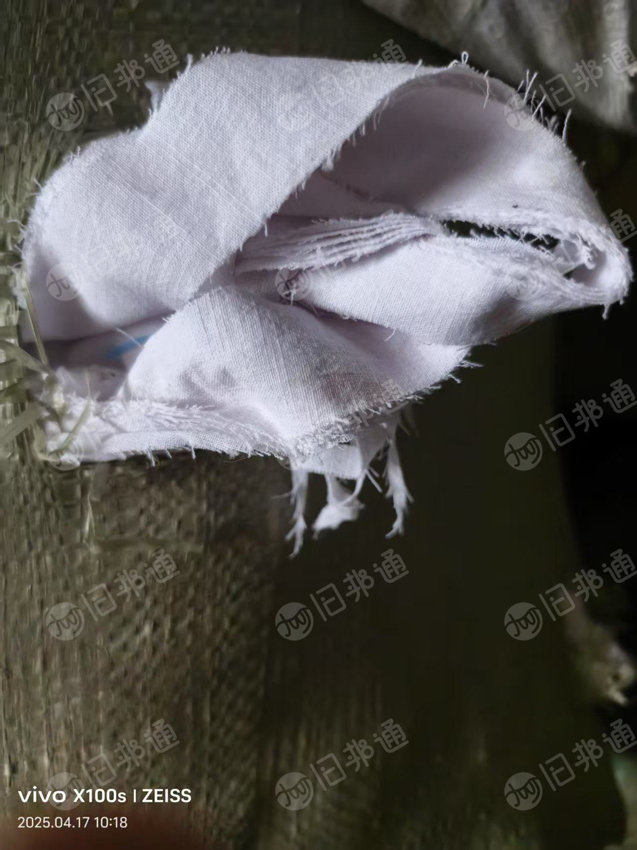 长期出售纯棉梭织废布,白色的,现货10吨,厂在浙江嘉兴