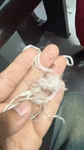 出售一批白色防坠网，工程下来的，现货7-8吨， 厂在福建泉州