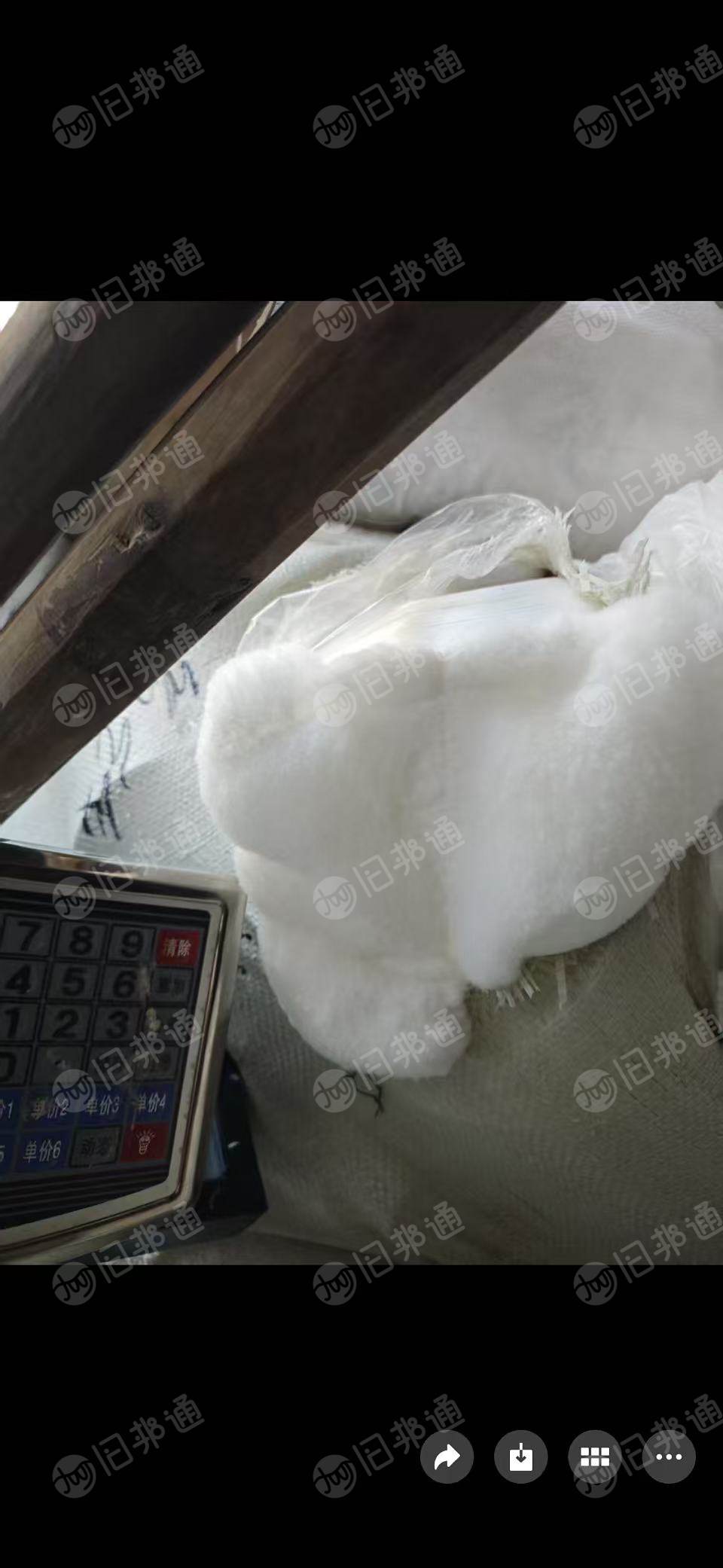 长期出售纯锦纶废丝,管丝,单6,半消光,现货10多吨,厂在浙江绍兴