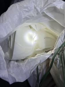 出售白色硅油纸废料