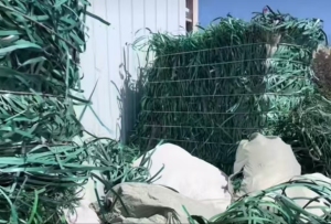 长期出售PET打包带废料，PP打包带废料