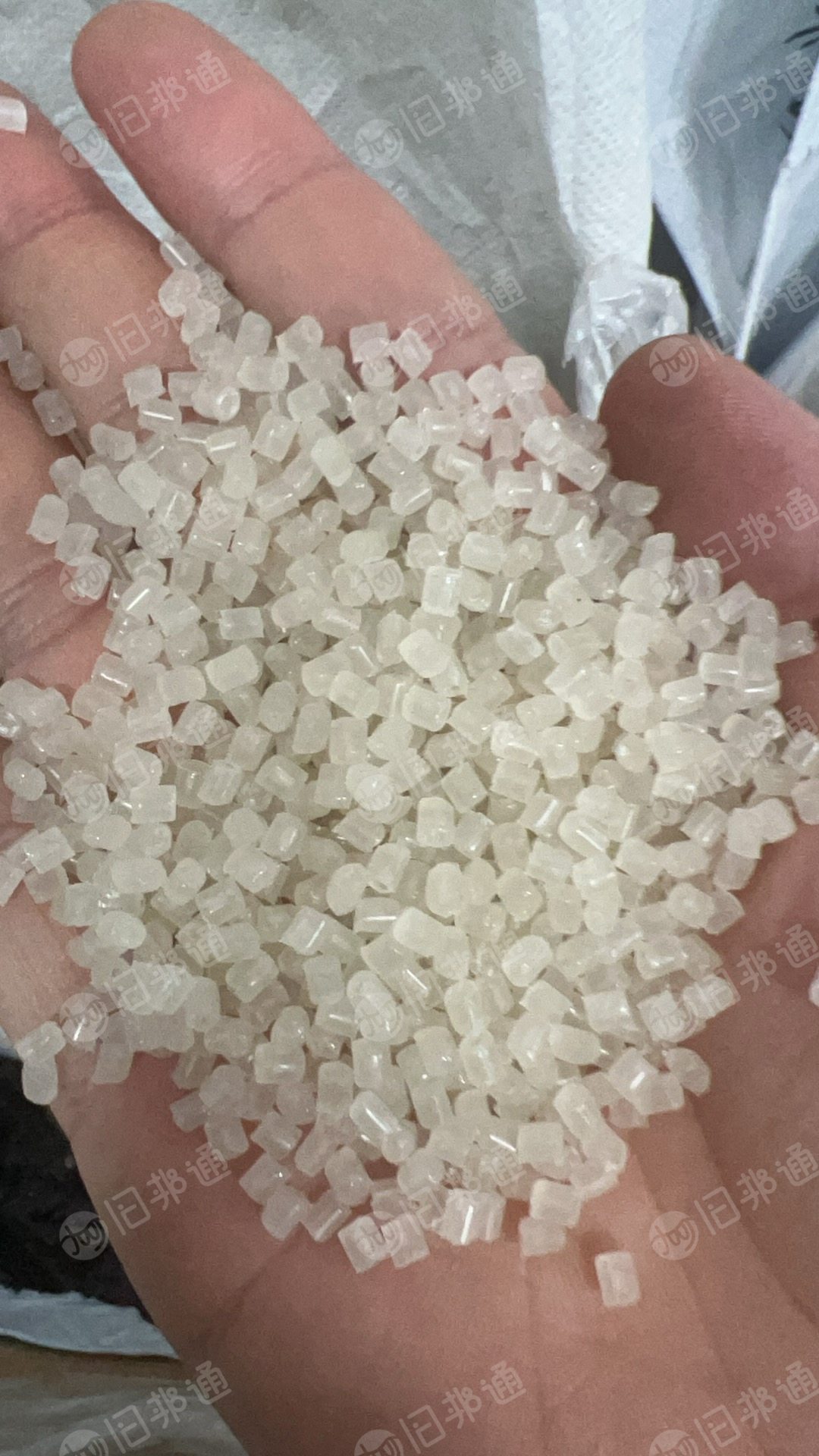 出售PP餐盒颗粒，过120目，长期有货