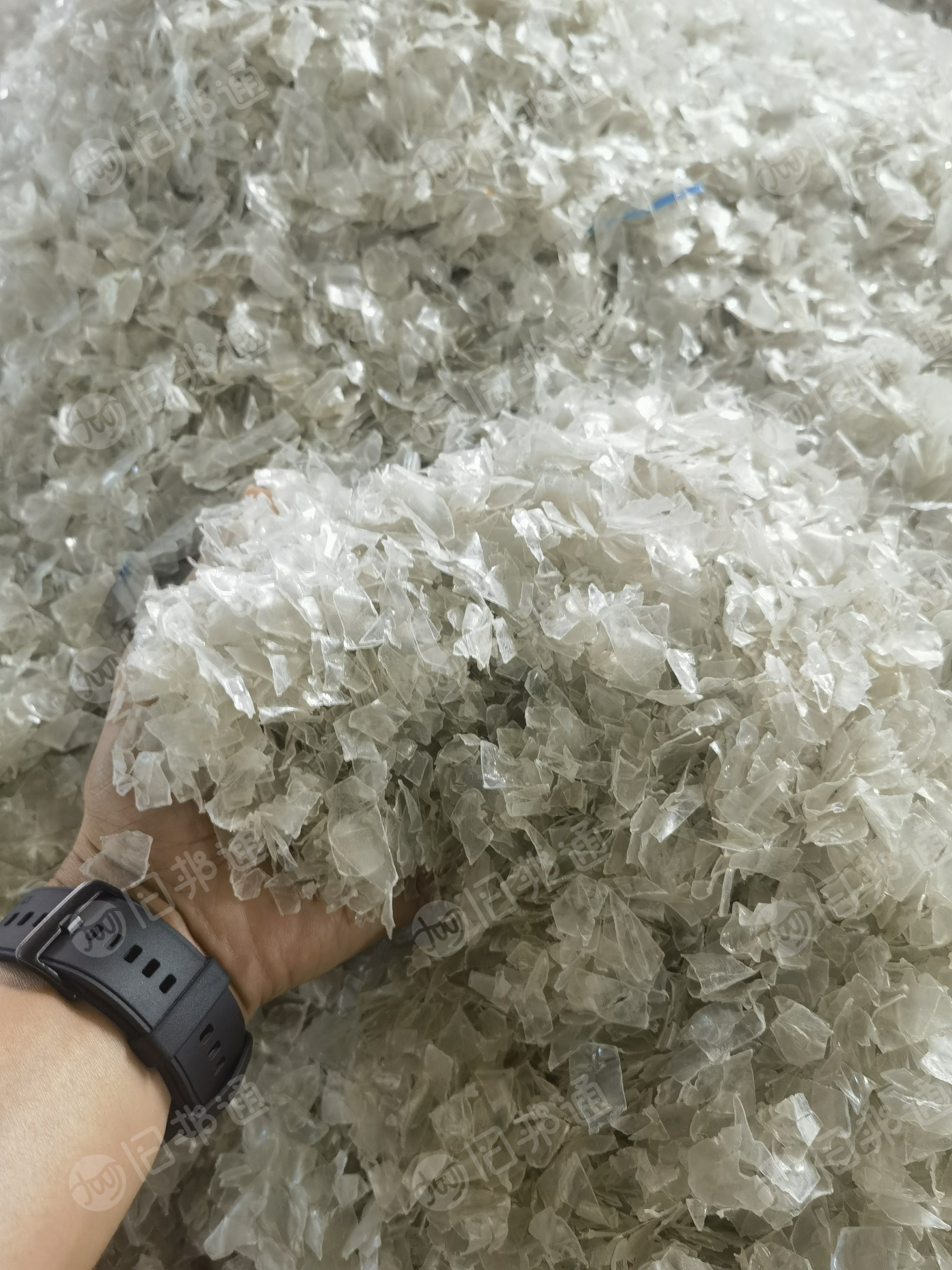 长期大量采购3a纯白冷水片