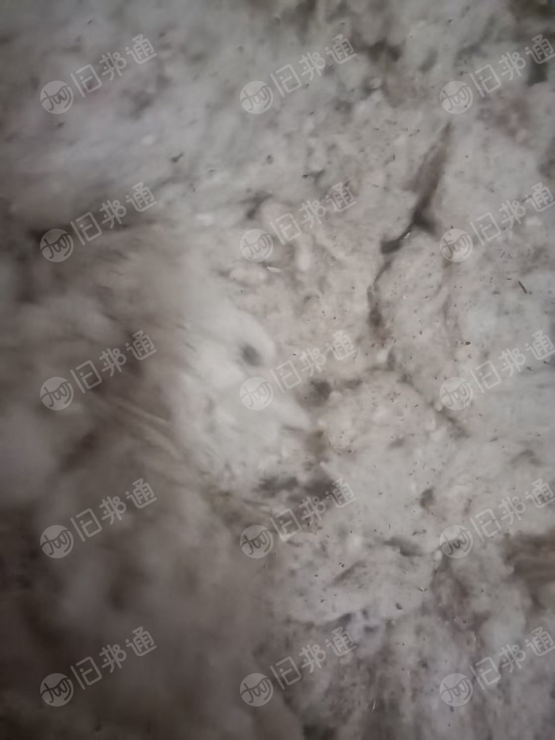 长期出售纺织厂下脚料,车肚,破籽,扫地花,废棉等,江西,湖南,湖北都有货