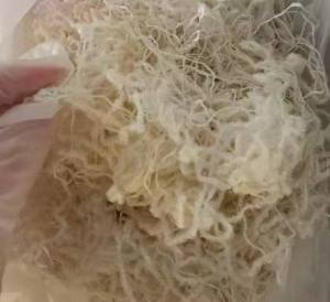 求购白色锦纶废丝，普通的就行，造粒用，上海