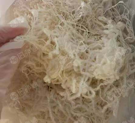求购白色锦纶废丝，普通的就行，造粒用，上海