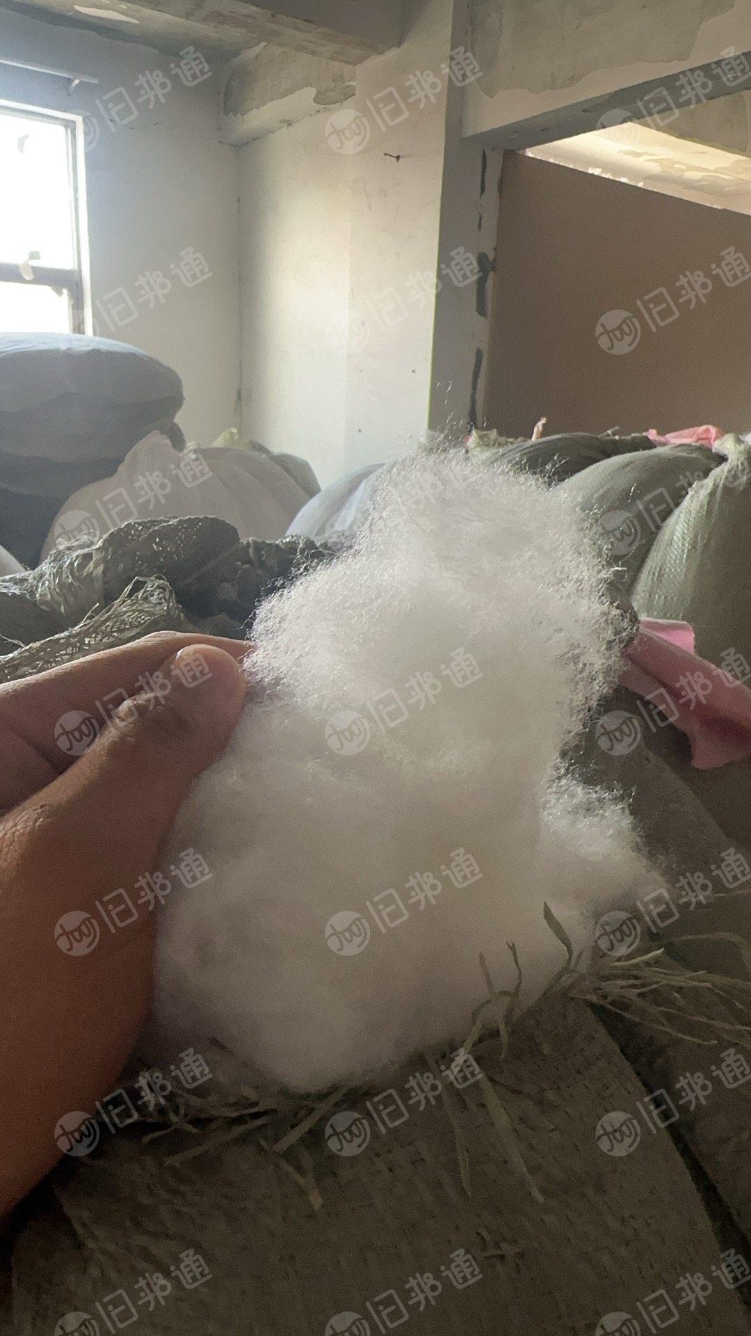 现货处理一批枕芯开花棉，娃娃棉，开松棉，现货十多吨，货在浙江金华