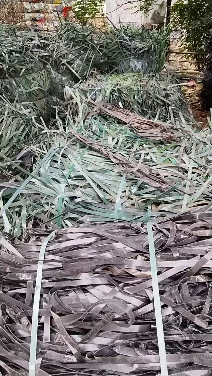 出售pet打包带毛料,现货10吨左右,长期都有
