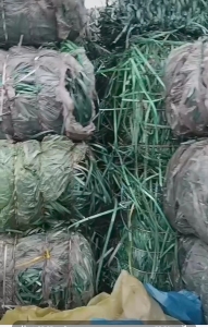 长期出售pet打包带废料,90%工厂货,现货100多吨