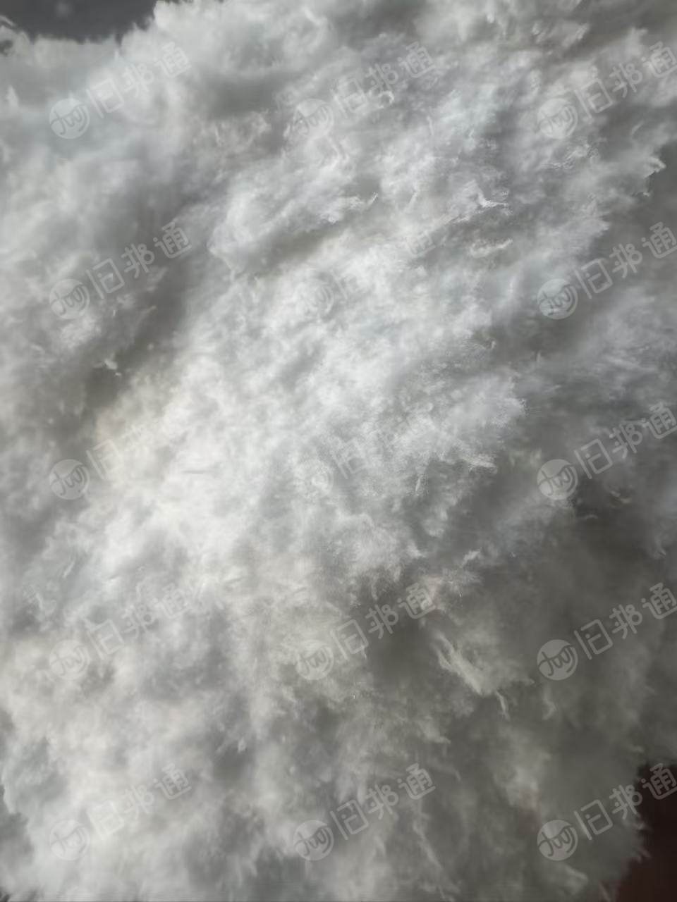 长期出售涤纶毛毛料,含水20左右,现货几十吨,厂在浙江湖州