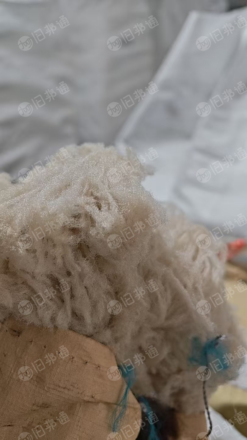 出售丙纶地毯丝，丙纶废料，PP废丝，丙纶废丝，现货有十几吨，货在江苏盐城