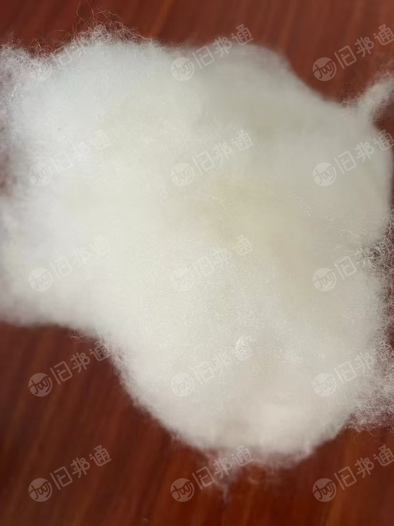 长期出售芳纶,PPS,PTFE,P84开松料,开花棉,开松棉