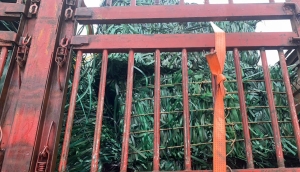 长期出售PET打包带废料，厂货