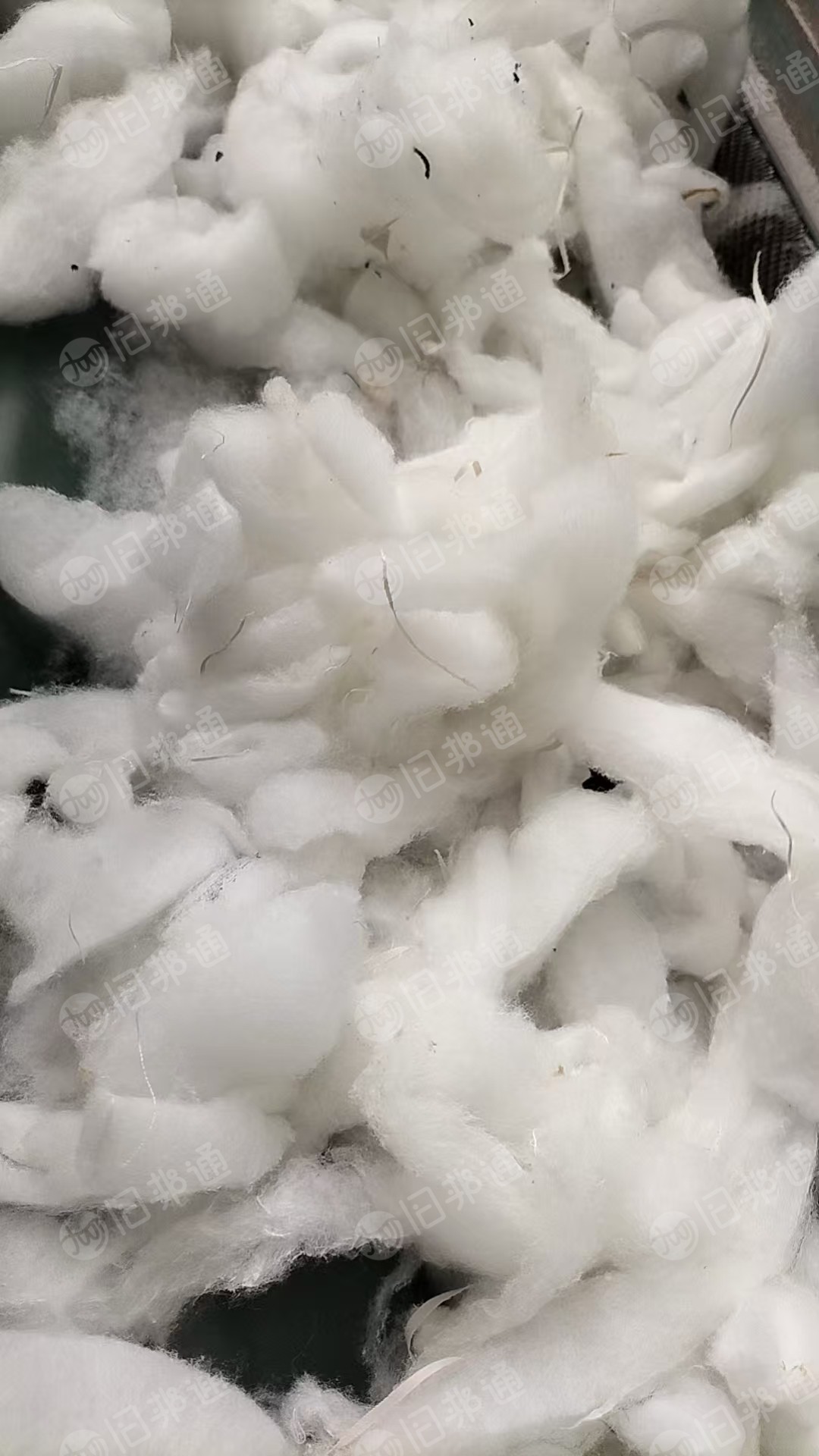 长期大量回收服装厂下来的丝棉线头棉，开花后做填充用，厂在江苏常州