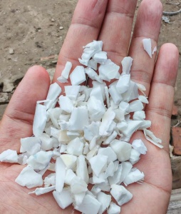 出售白色PP破碎料，共聚的，月供二三十吨