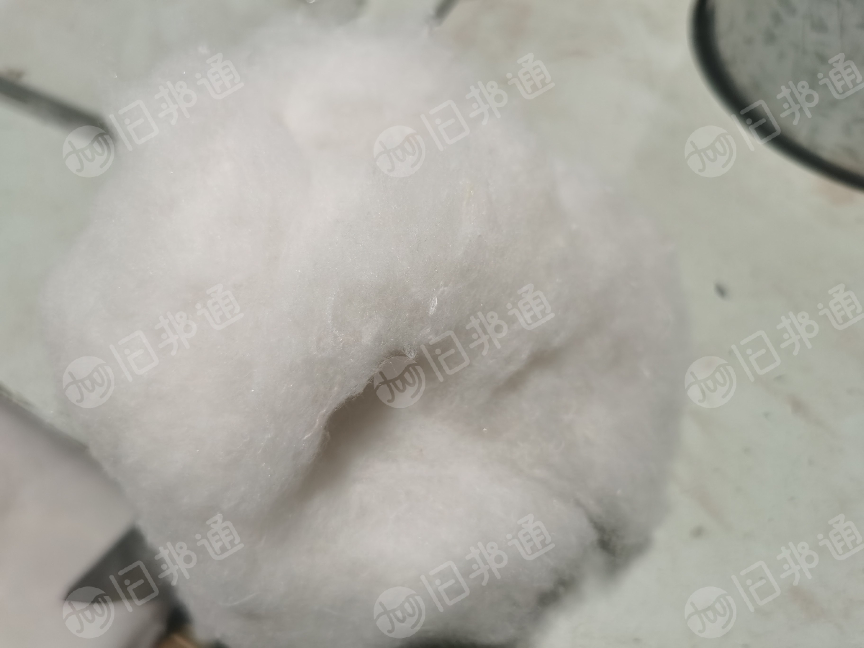 长期出售大白棉花，可以纺纱线，纺手套纱