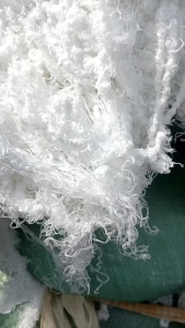 长期出售涤锦复合丝，涤锦废丝，涤锦水丝，含水量40%左右