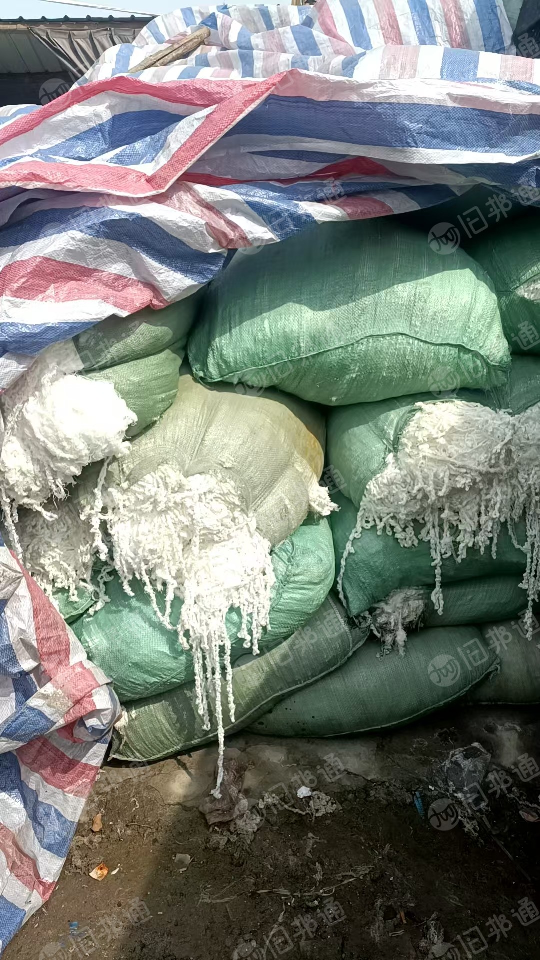 长期出售涤锦复合丝，涤锦废丝，涤锦水丝，含水量40%左右