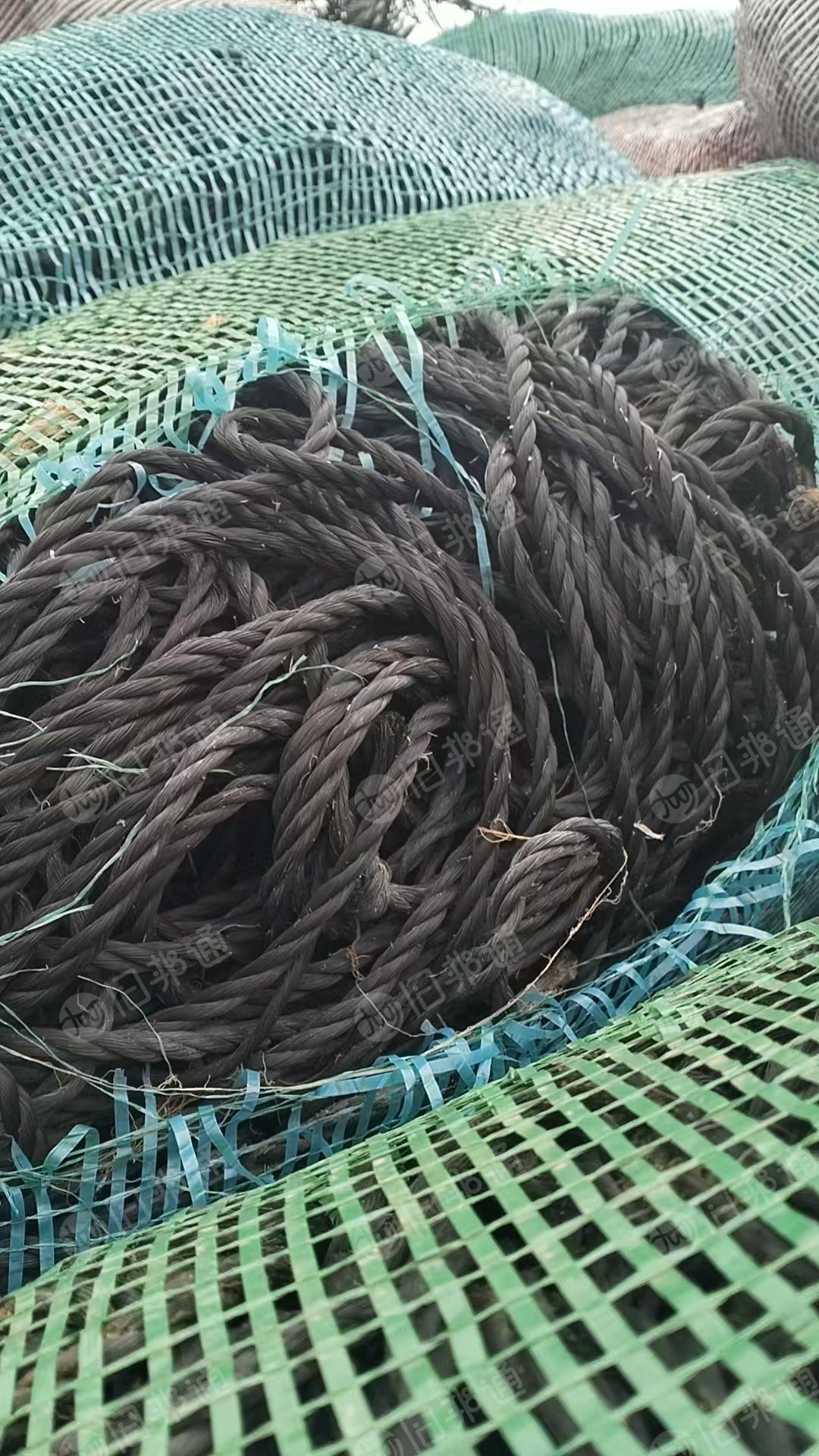 长期出售黑色的龙须菜绳子，废旧绳子，月供五六十吨左右