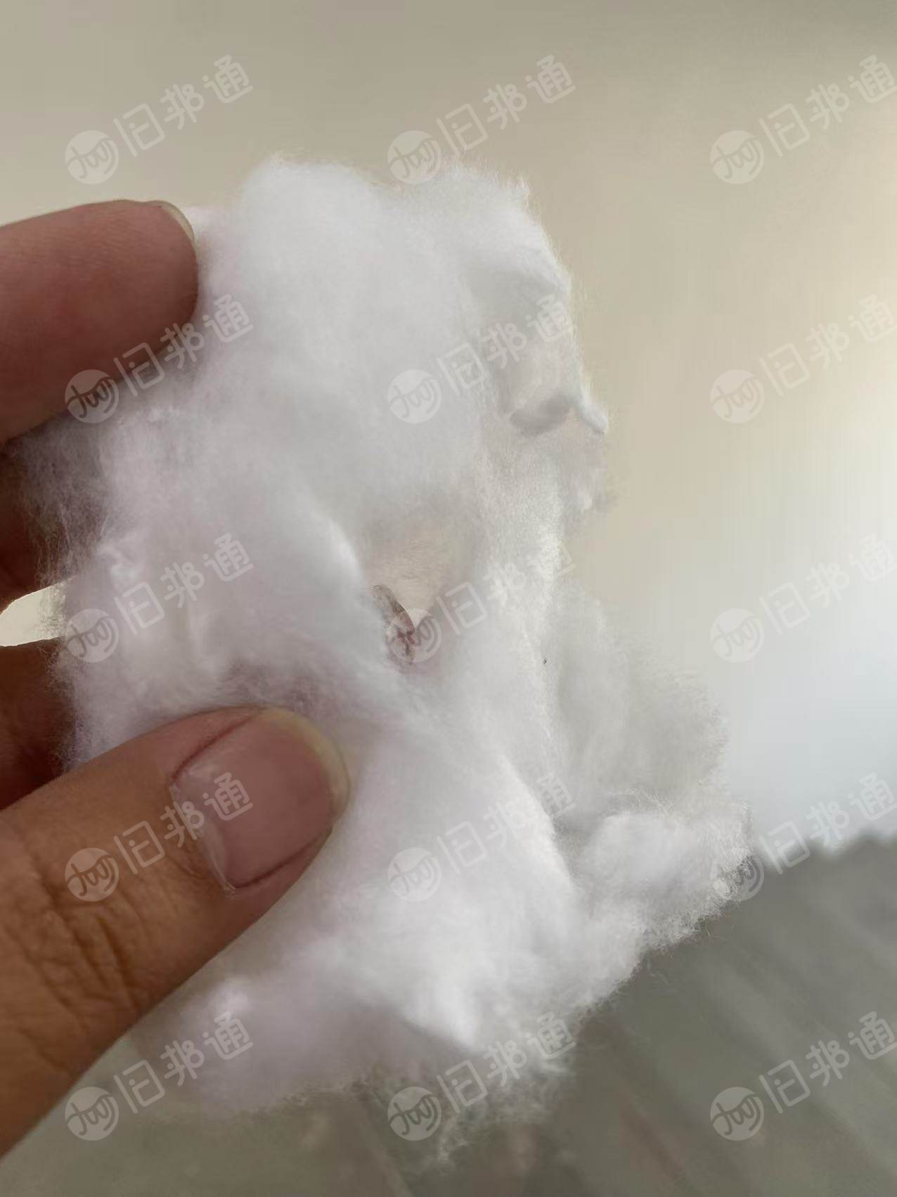 长期大量收购开花棉，每个月60吨，做被子用的，厂在河北邢台